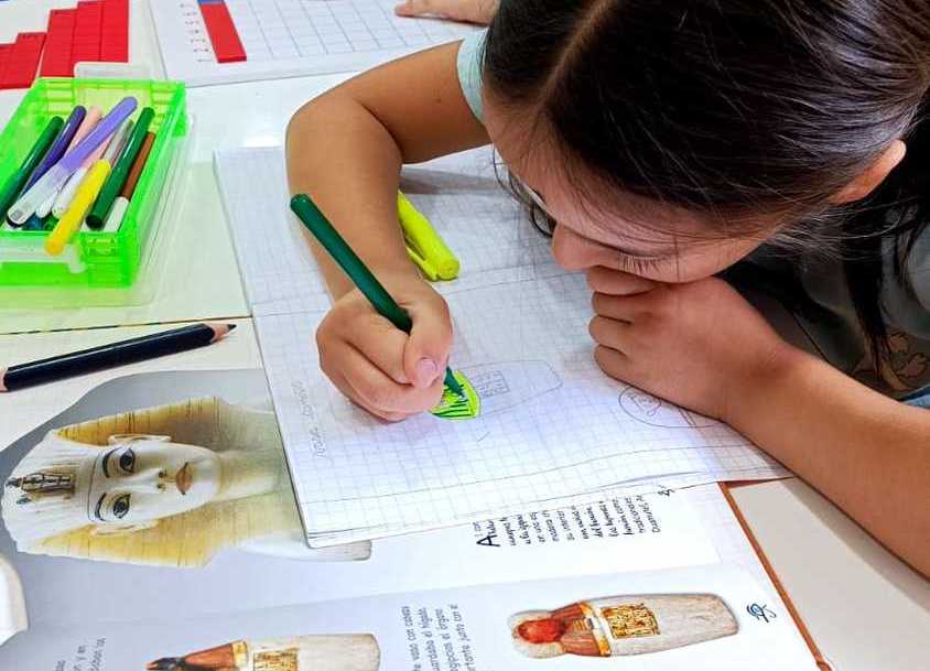 Taller de Preparación Exámenes Libres